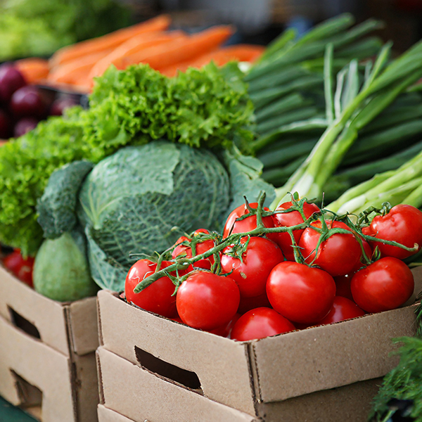 縮短田間到餐桌的距離，鎖住每一分新鮮